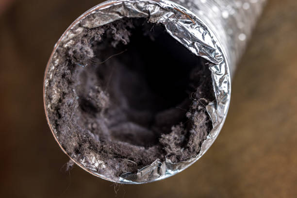 Best Affordable Duct Cleaning Services  in Solon, IA