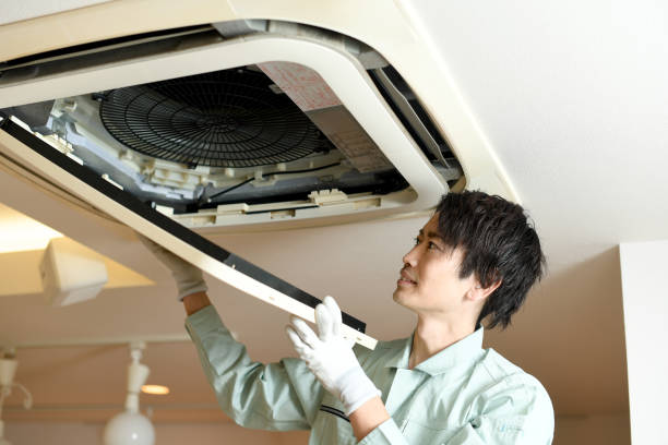 Best Air Duct Sanitizing Services  in Solon, IA